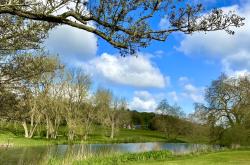 一号娱乐 印第安纳狂热队 