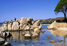 NG大舞台关于布鲁克林篮网发布备战花絮，今晨官宣签约，NBA总决赛任务艰巨，高层口径保持一致的信息