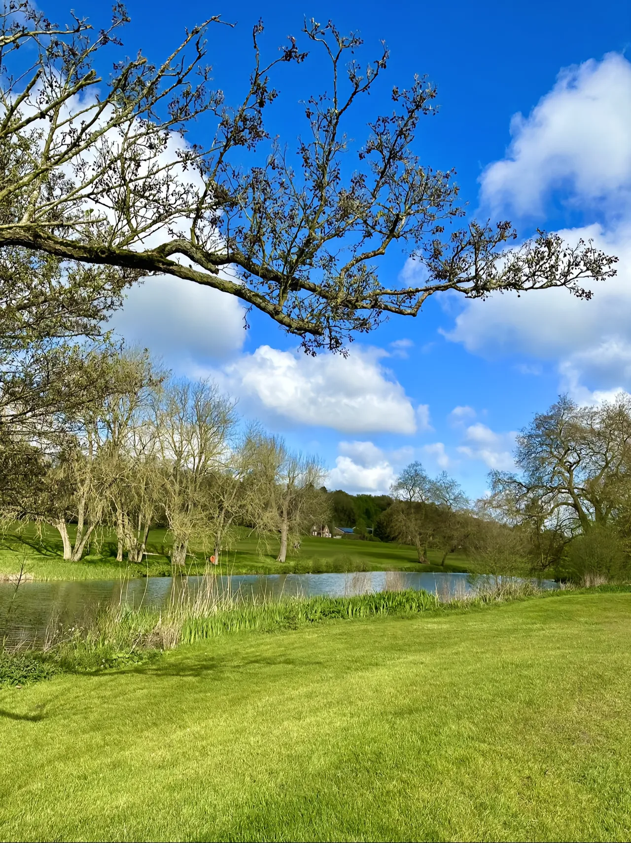 印第安纳狂热队 印第安纳狂热队